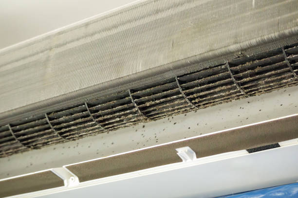 Best Air Duct Cleaning Near Me in Rutledge, TN